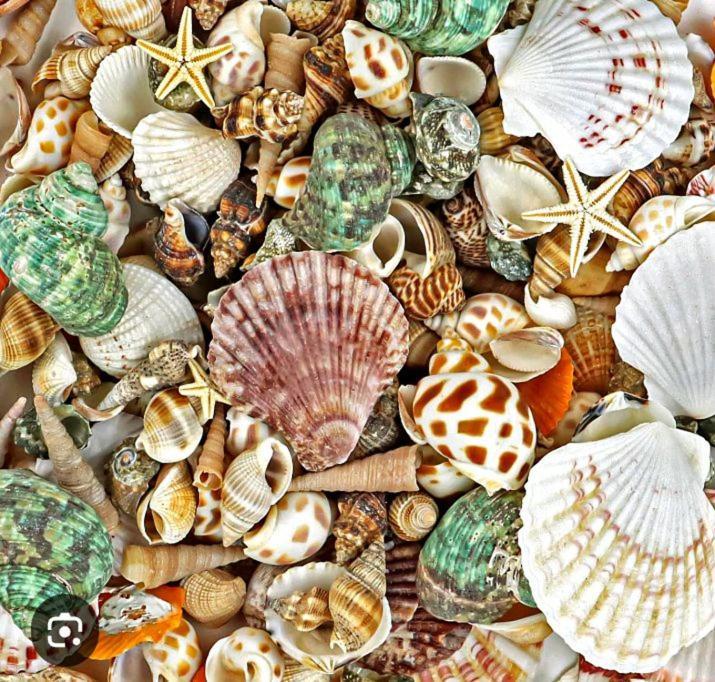 Kalimetiya Beach Cabana Hungama Zewnętrze zdjęcie