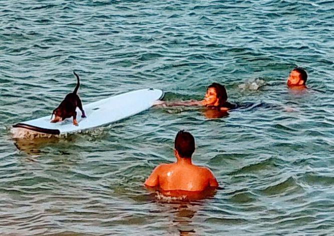 Kalimetiya Beach Cabana Hungama Zewnętrze zdjęcie